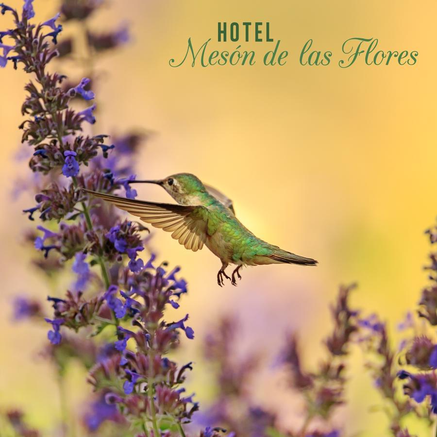 Hotel Meson De Las Flores Armenia  Buitenkant foto