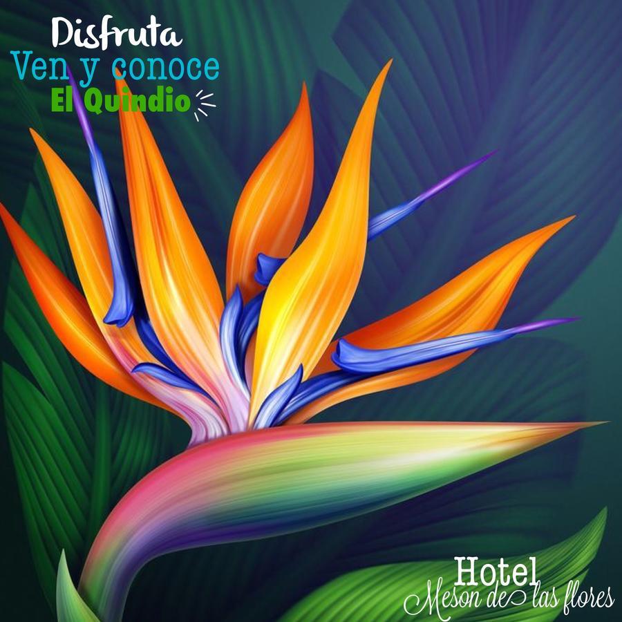 Hotel Meson De Las Flores Armenia  Buitenkant foto
